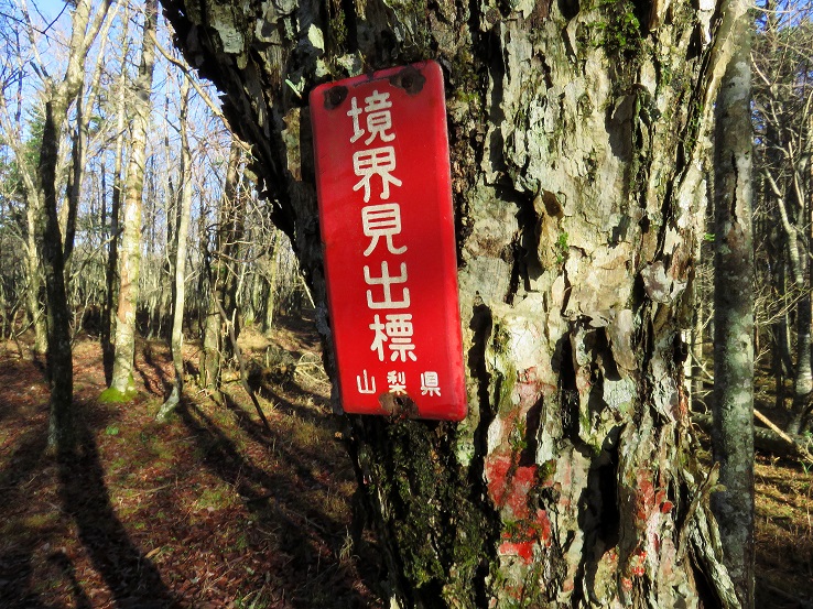 見出票が大根山への案内