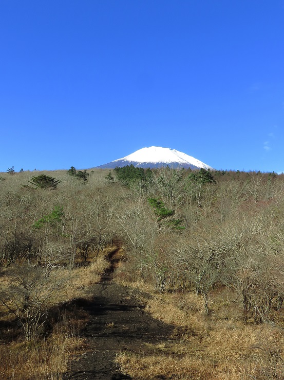 大根山付近富士山・小富士の景色