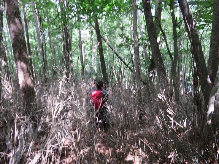 高芝山から竹森林道ルート入口