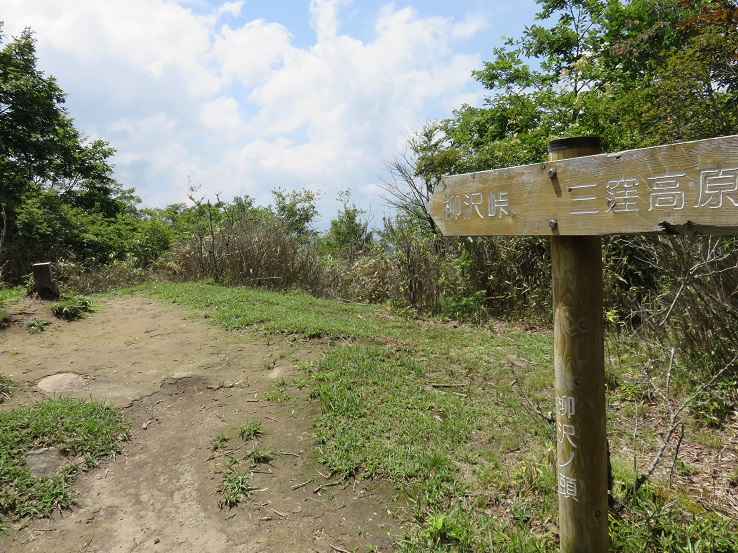 柳沢ノ頭へ到着