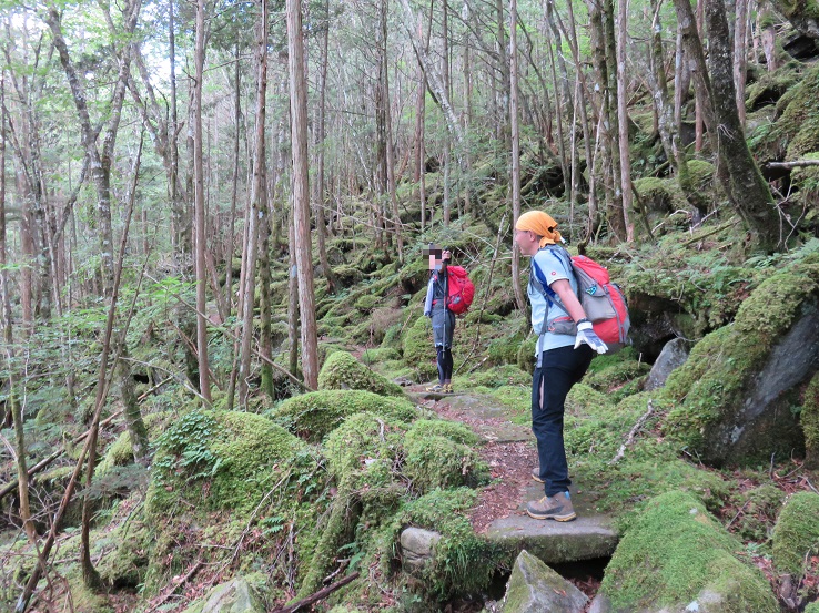 横手山峠～六本木峠～寺尾峠～丸川峠様子