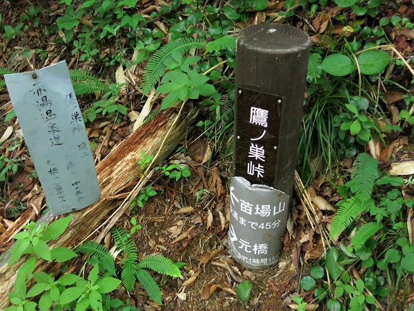 赤湯温泉山口館登山道