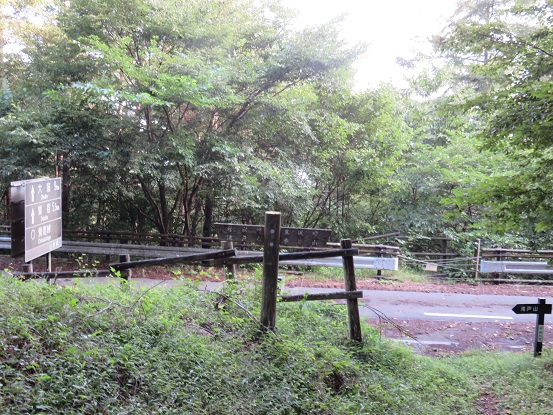 なんじゃもんじゃの木滝戸山分岐