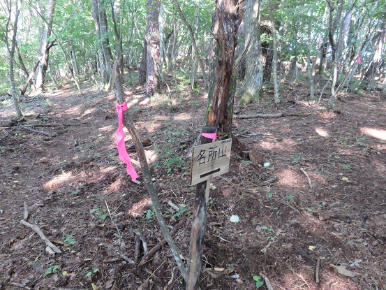 滝戸山名所山への分岐