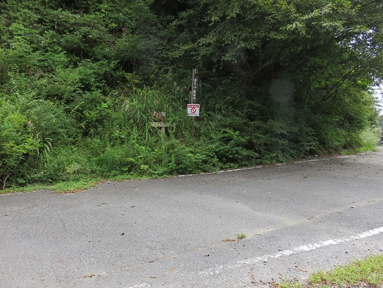 春日山最高点から林道