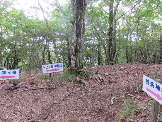 釈迦ヶ岳登山道の様子