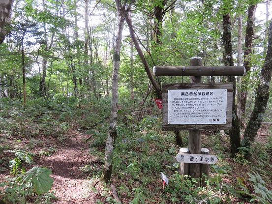 黒岳への登り御坂方面の稜線と合流