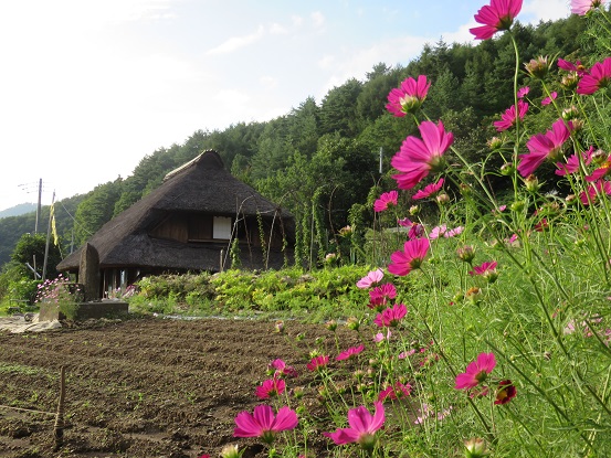 すずらんの里日本の原景色