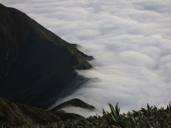 f:id:aohige0718:20170826160014j:plain 谷川岳の稜線がダムのように雲海を堰き止め