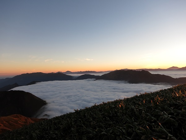 f:id:aohige0718:20170826160325j:plain 谷川岳馬蹄形な形に雲海がびっしり