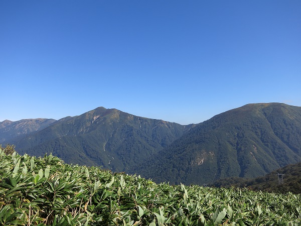 f:id:aohige0718:20170826161009j:plain 巻機山へ続く国境尾根