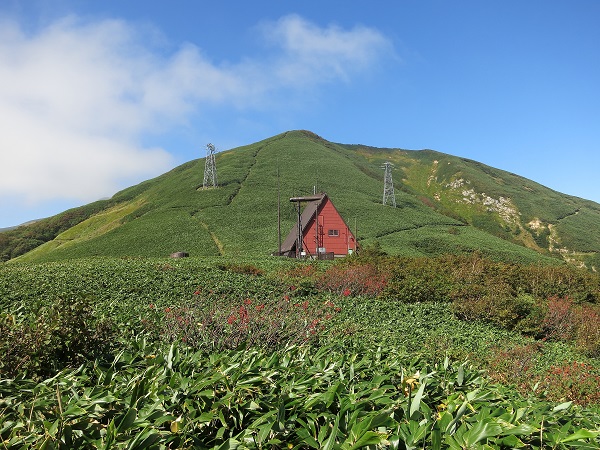 f:id:aohige0718:20170826161033j:plain 七ツ小屋山