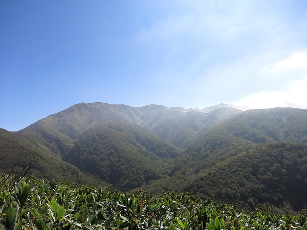 f:id:aohige0718:20170826161108j:plain 朝日岳遠望