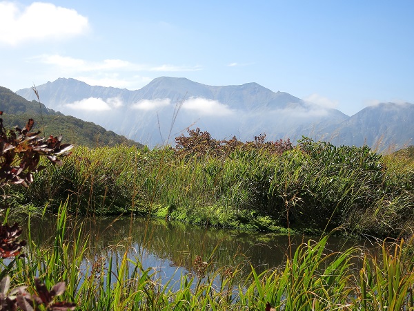 f:id:aohige0718:20170826161132j:plain 池塘越しの谷川岳