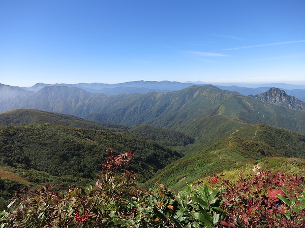 f:id:aohige0718:20170826161248j:plain 上越のマッターホルン大源太山