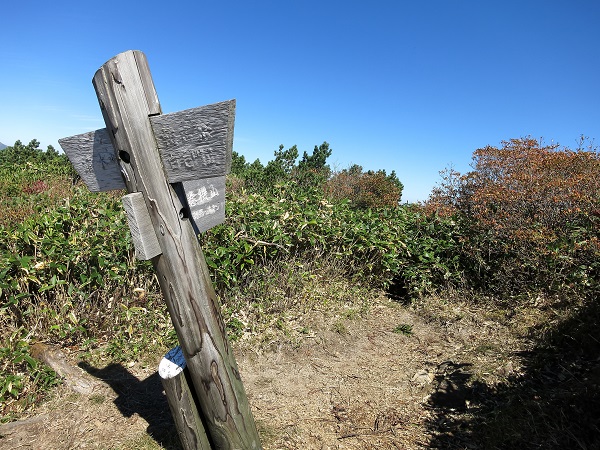 f:id:aohige0718:20170826161427j:plain ジャンクションピーク