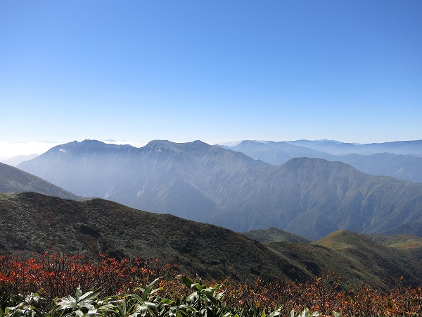 f:id:aohige0718:20170826161451j:plain ジャンクションピークからの谷川岳の山並