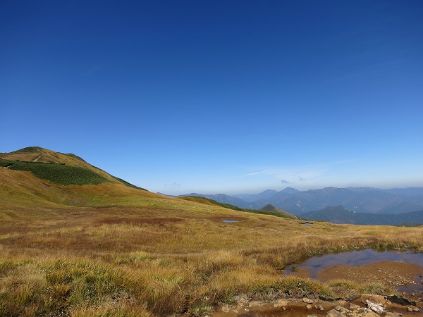 f:id:aohige0718:20170826161604j:plain 朝日岳"高層湿原"
