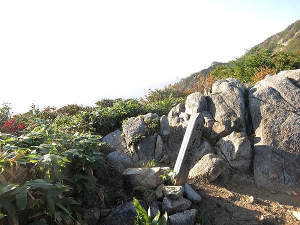 f:id:aohige0718:20170826162213j:plain 松ノ木沢ノ頭