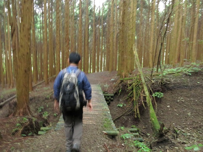 毛無山登山口