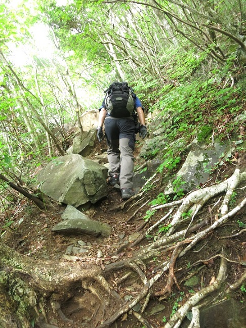 毛無山登山口から急登