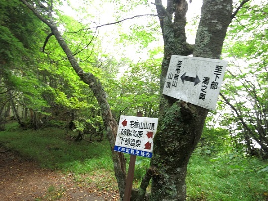 毛無山の山頂下部温泉分岐