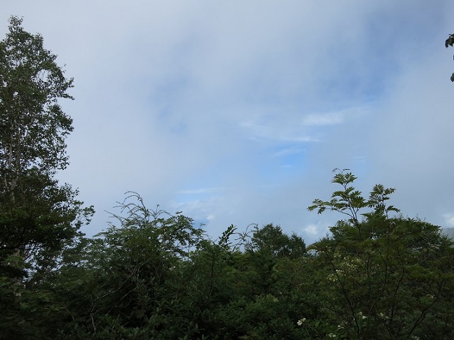 は北アルプスの景色