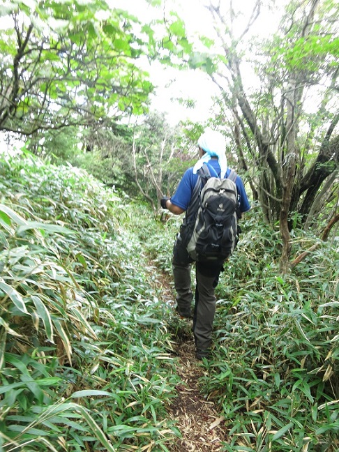 毛無山から雨ヶ岳
