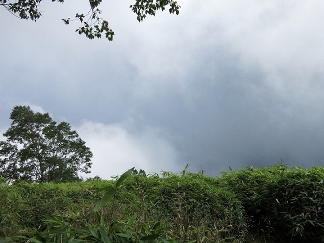 雨ヶ岳の山頂から富士山の絶景