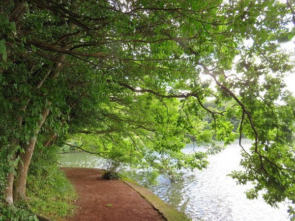 一碧湖遊歩道
