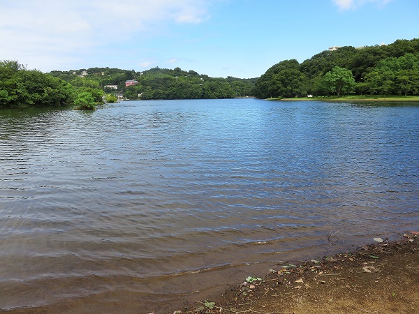 一碧湖のお水