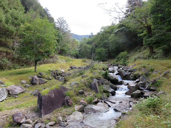 笠取山途中の沢