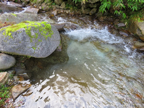 雁峠登山道川の水の透明感