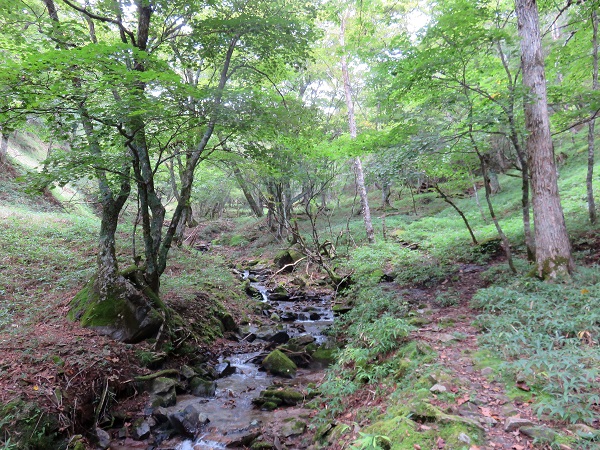 雁峠へ至るこの登山道