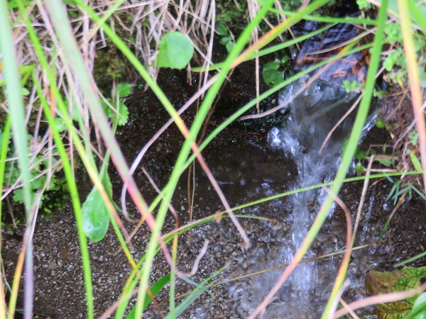 雁峠近くにある水場