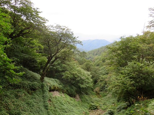 水干の時間ロマン溢れる場所