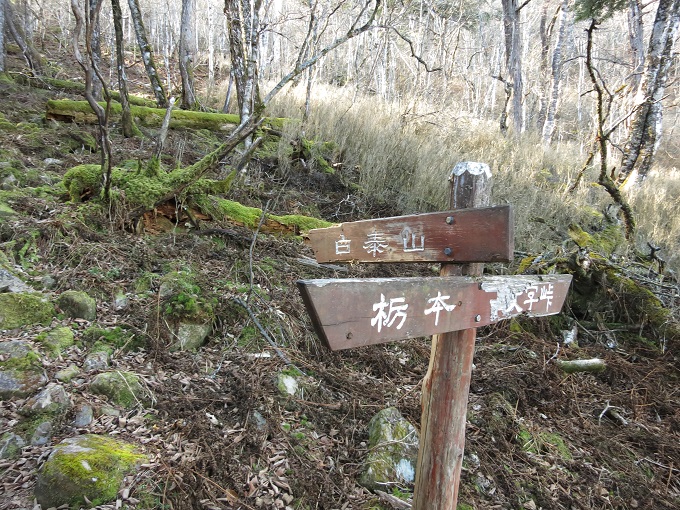 白泰山への分岐