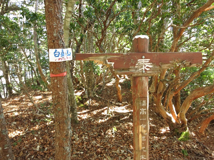 白泰山の山頂