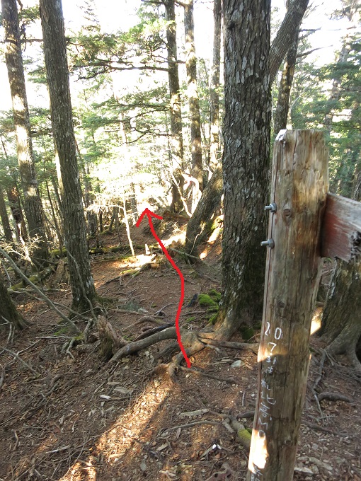 二里観音避難小屋白泰山分岐