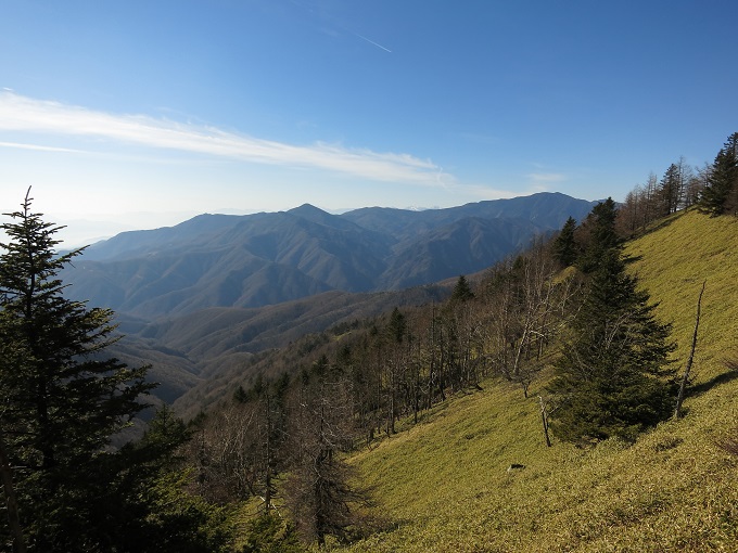 雁坂嶺雁坂峠へ続く笹の草原