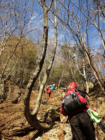 両神山の急登