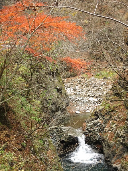 中津峡の紅葉