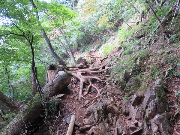 大山登山道