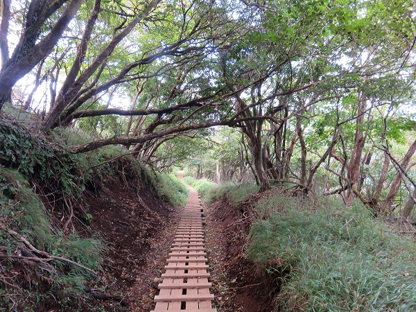 大山登山イタツミ尾根