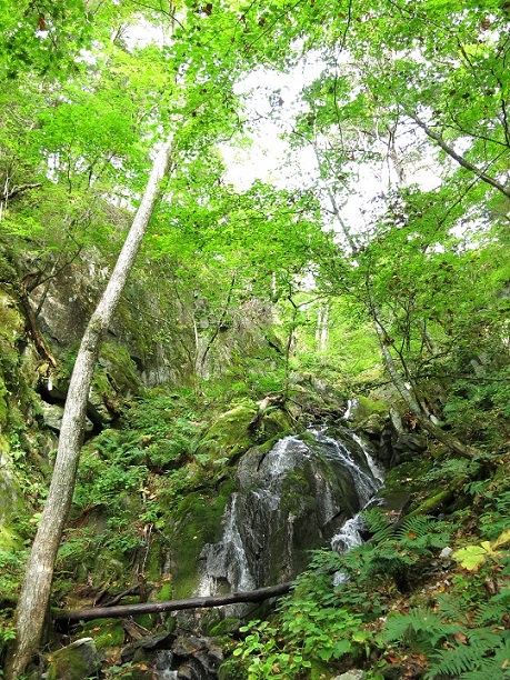 f:id:aohige0718:20170921222725j:plain f:id:aohige0718:20170921222725j:plain