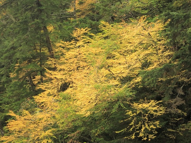 f:id:aohige0718:20170921222919j:plain f:id:aohige0718:20170921222919j:plain