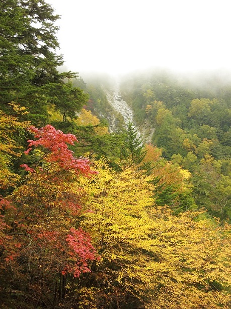 f:id:aohige0718:20170921223038j:plain f:id:aohige0718:20170921223038j:plain