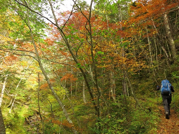 f:id:aohige0718:20170921223247j:plain f:id:aohige0718:20170921223247j:plain