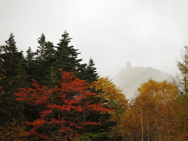 f:id:aohige0718:20170921223842j:plain f:id:aohige0718:20170921223842j:plain