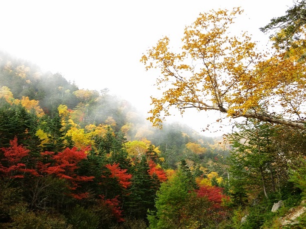 f:id:aohige0718:20170921223940j:plain f:id:aohige0718:20170921223940j:plain